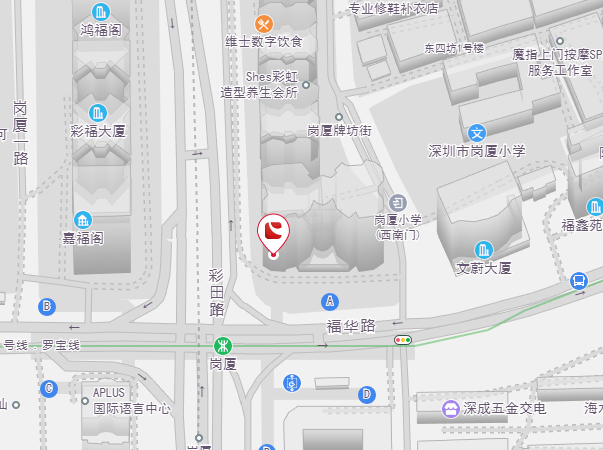 森林舞会官网